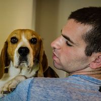 Itamar Efrati的照片