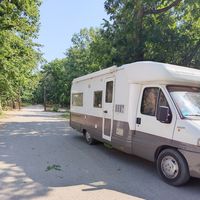 Robin Falkon's Photo