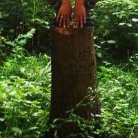 Zdjęcia użytkownika Francine Bracho Montes de Oca