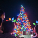 Bilder von Downtown Chula Vista Tree Lighting& Holiday Market