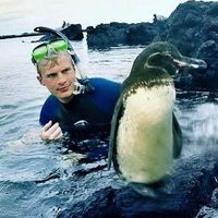 Stuart Crooks的照片