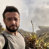 Vincent From Picardie的照片