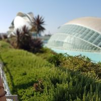 Фотографии пользователя Chiara Jol