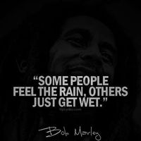 Fotos von Stefan Uvesten