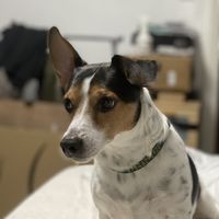 Daniel  Collyer's Photo