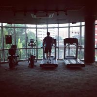 Josephus Miko's Photo