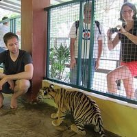 Johan Klingberg的照片