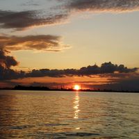 Fotos de Shero Leone