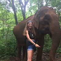 Fotos von Sophie de Jong