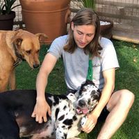 Erick Guzmán的照片