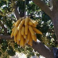 Fabienne Dizabo's Photo