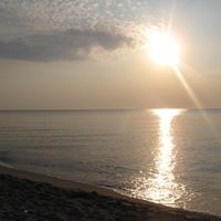 Sasho Mitrovski's Photo