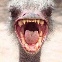 Silvina Savini's Photo