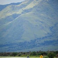 Matias Cardozo的照片