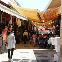 Andrea Jara Ambrosio's Photo