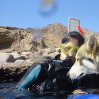 Fotos de Jinseon Kim