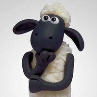 Marilia De Moraes Benini's Photo