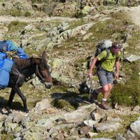 Sébastien Bédon的照片