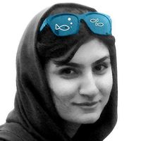 Mojgan Kh's Photo