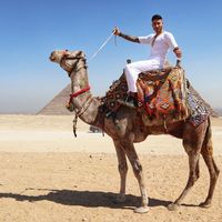 Photos de Carlos Zaouali