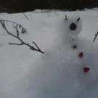 Audrey Voigt's Photo