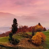 Mohamed  Said的照片