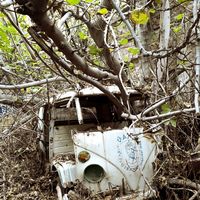 Петьо Спокойно的照片