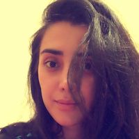 elham Froznia的照片