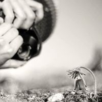 Karel Žižka的照片