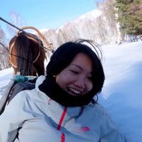 Le foto di Apple Chong