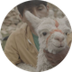 Photo of E