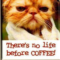 Fotos von ChunChia Chen