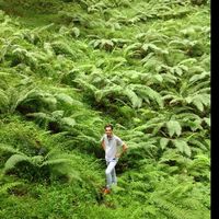 amir ansari的照片