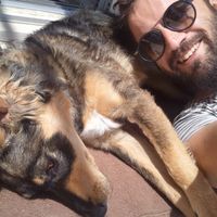 Jorge Alvarez的照片