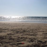 Itay Zandberg's Photo