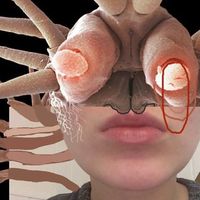 Daniela Bulajcsikova's Photo