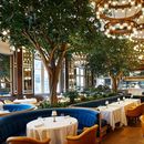 Fancy Restaurant 的照片