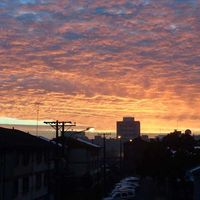 Le foto di Lena Emilium