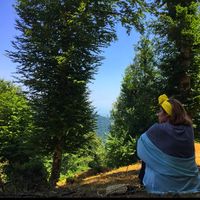 nasrin hajibandeh的照片