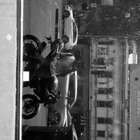 Alexis Palacios's Photo