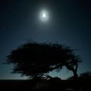 A day in nature's embrace...group games, lunch and的照片