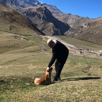 Mario Krstičević's Photo