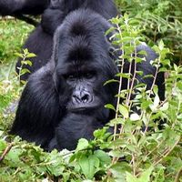 Jennifer Loveland's Photo