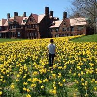 Fiorella Cianchi的照片