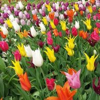 Fejér János's Photo