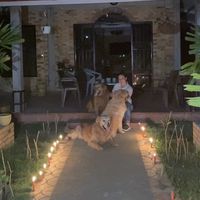 Deisy Hernandez's Photo