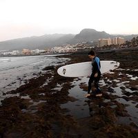 Фотографии пользователя Ann-Christin Berardi