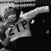 Viktor Drummer的照片