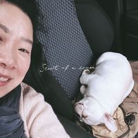 Wenqin Wang的照片