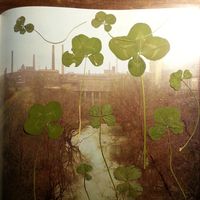 Fiona Ebner的照片